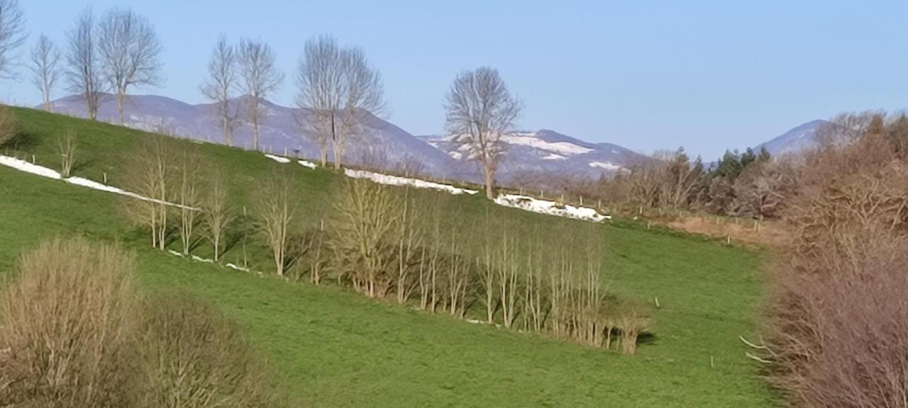 Domaine Le Lanis Chambre D'Hotes Piscine Spa Privatise Sur Reservation Saint-Girons  Exterior foto