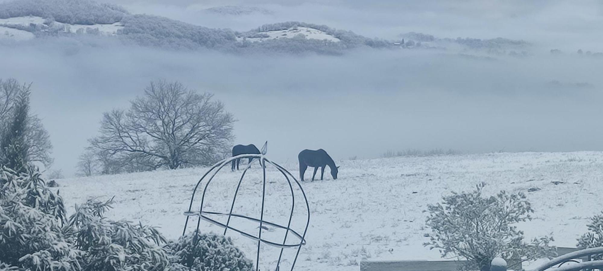 Domaine Le Lanis Chambre D'Hotes Piscine Spa Privatise Sur Reservation Saint-Girons  Exterior foto